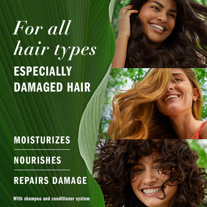 Herbal Essences Argan Oil Repair Shampoo & Conditioner Set, Moisturizes & Smoothes, Paraben-Free, Color-Safe, pH-Balanced, Citrus Scent, 20.2 Fl Oz, 2-Pack
